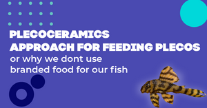 Plecoceramics approach for Feeding plecos, or Why we dont use branded food for our fish.