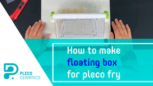 HOW TO MAKE FLOATING BOX FOR PLECO FRY