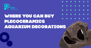 Where you can buy Plecoceramics Aquarium Decorations