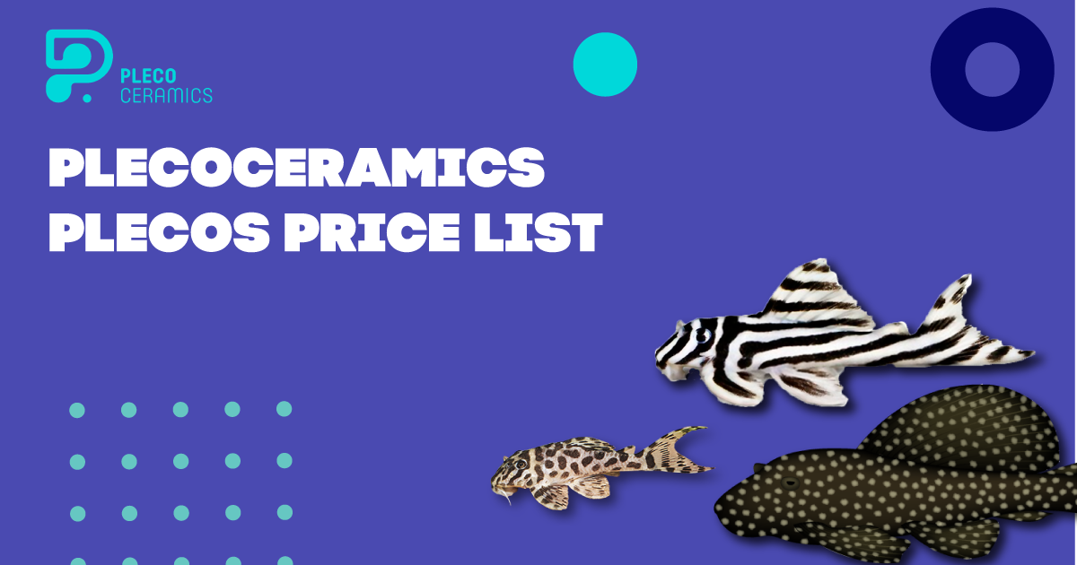 Plecoceramics Plecos Price List