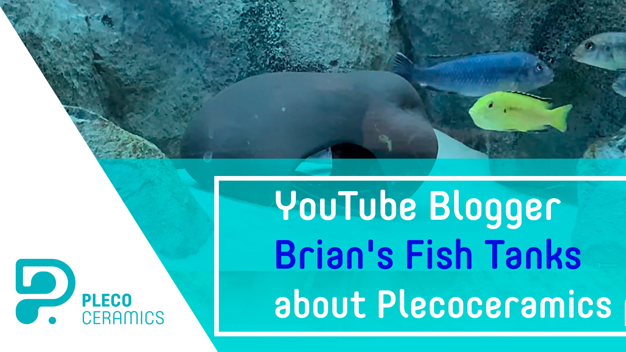 YouTube Blogger Brian's Fish Tanks about Plecoceramics products