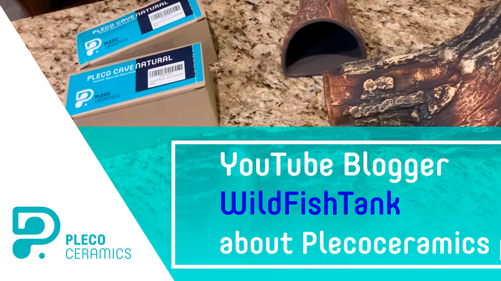 YouTube Blogger WildFishTank about Plecoceramics products