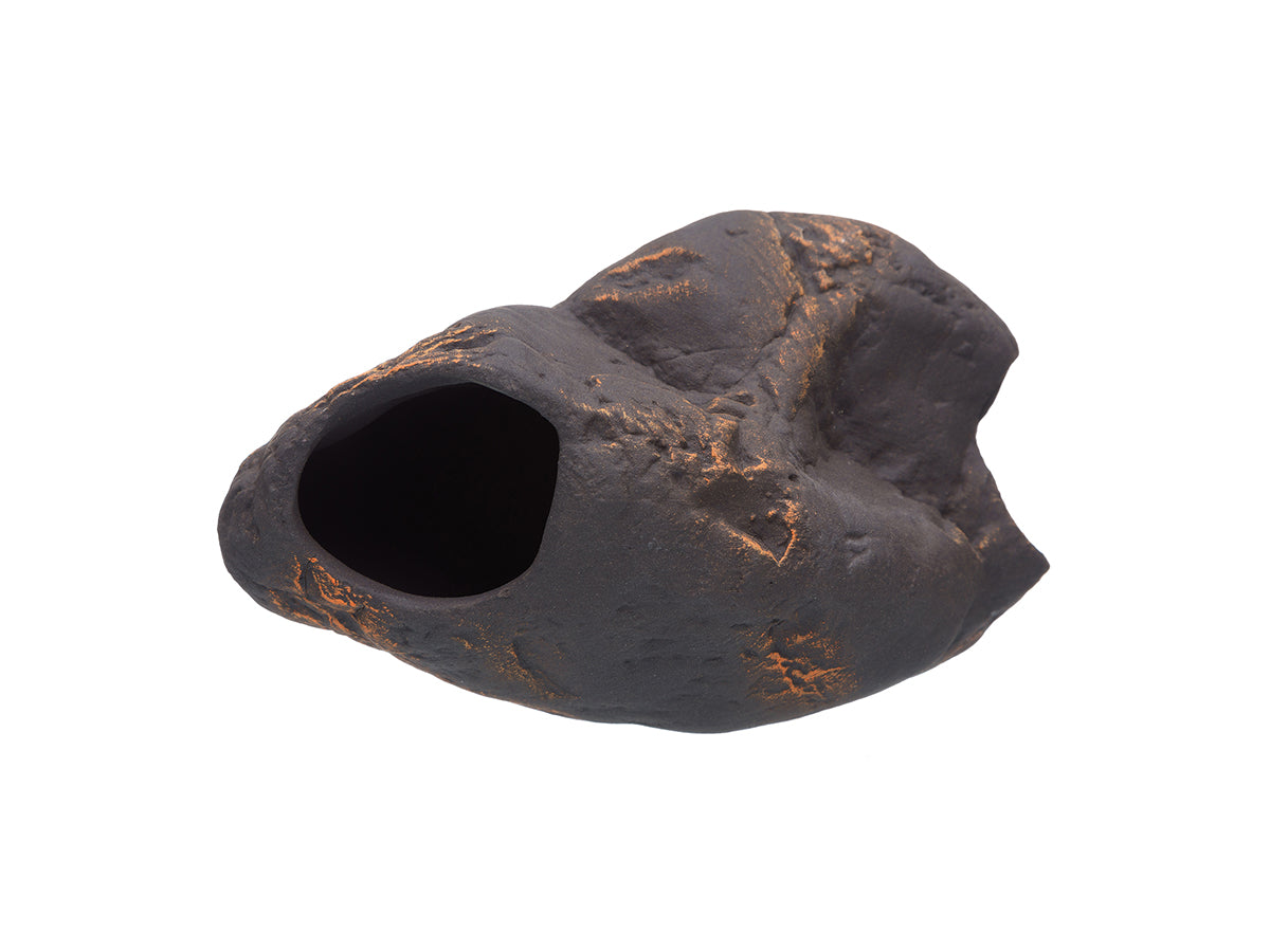 Stones – Plecoceramics