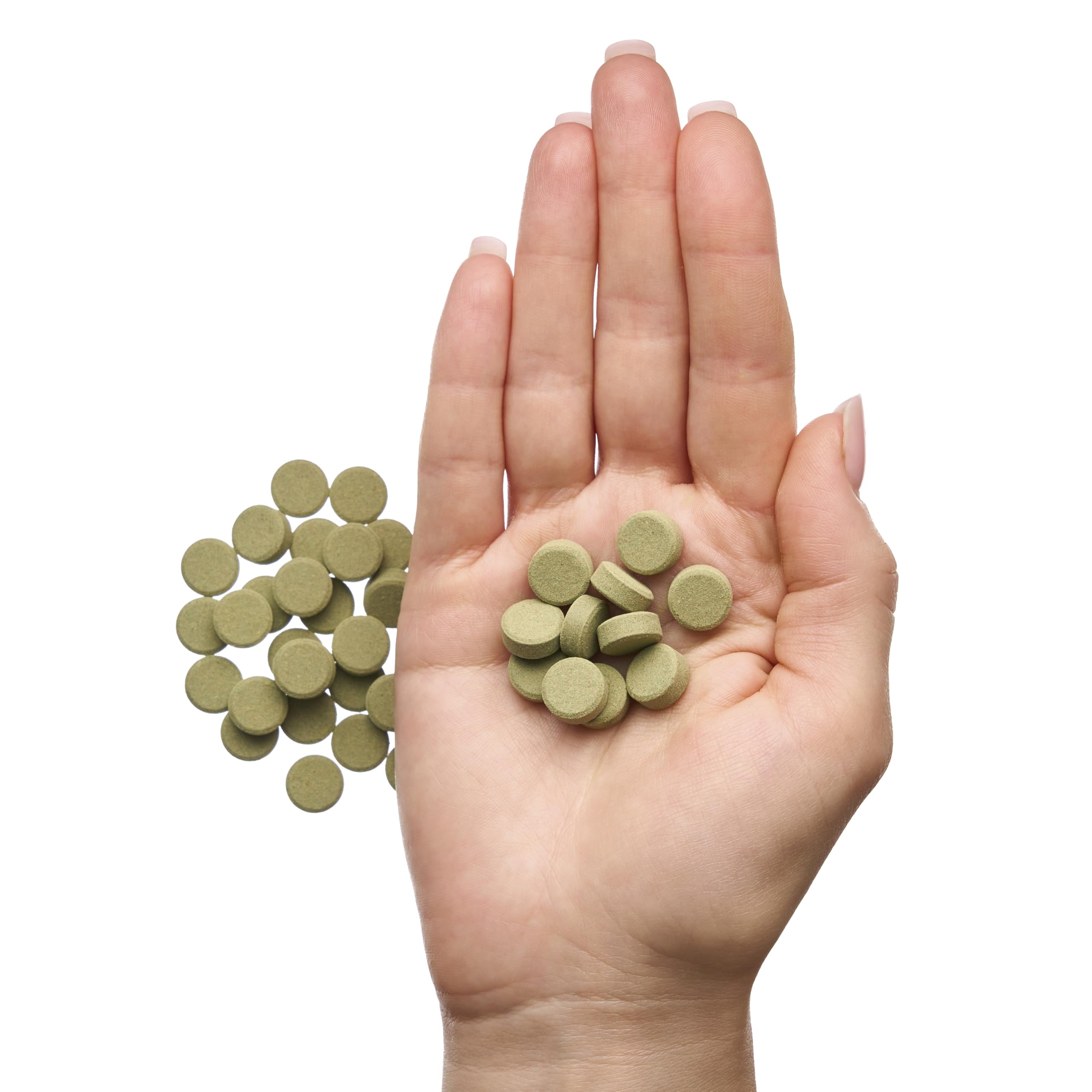 Algae Wafers for Bottom Feeders - With Spirulina (50 gr)
