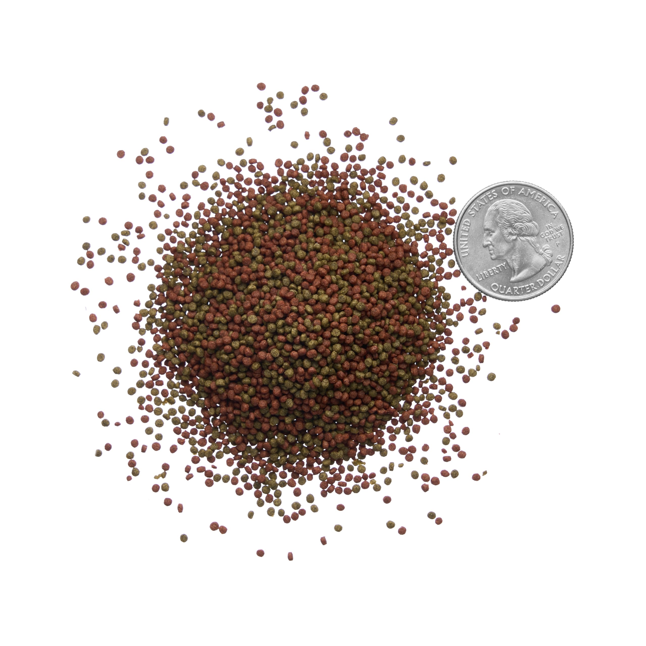 Betta Fish Pellets - Complete Nutrition Plus Color Boost (40 gr)
