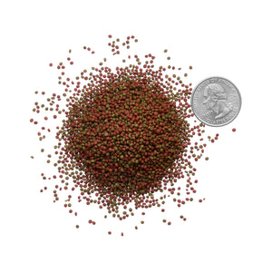 Betta Fish Pellets - Complete Nutrition Plus Color Boost (40 gr)