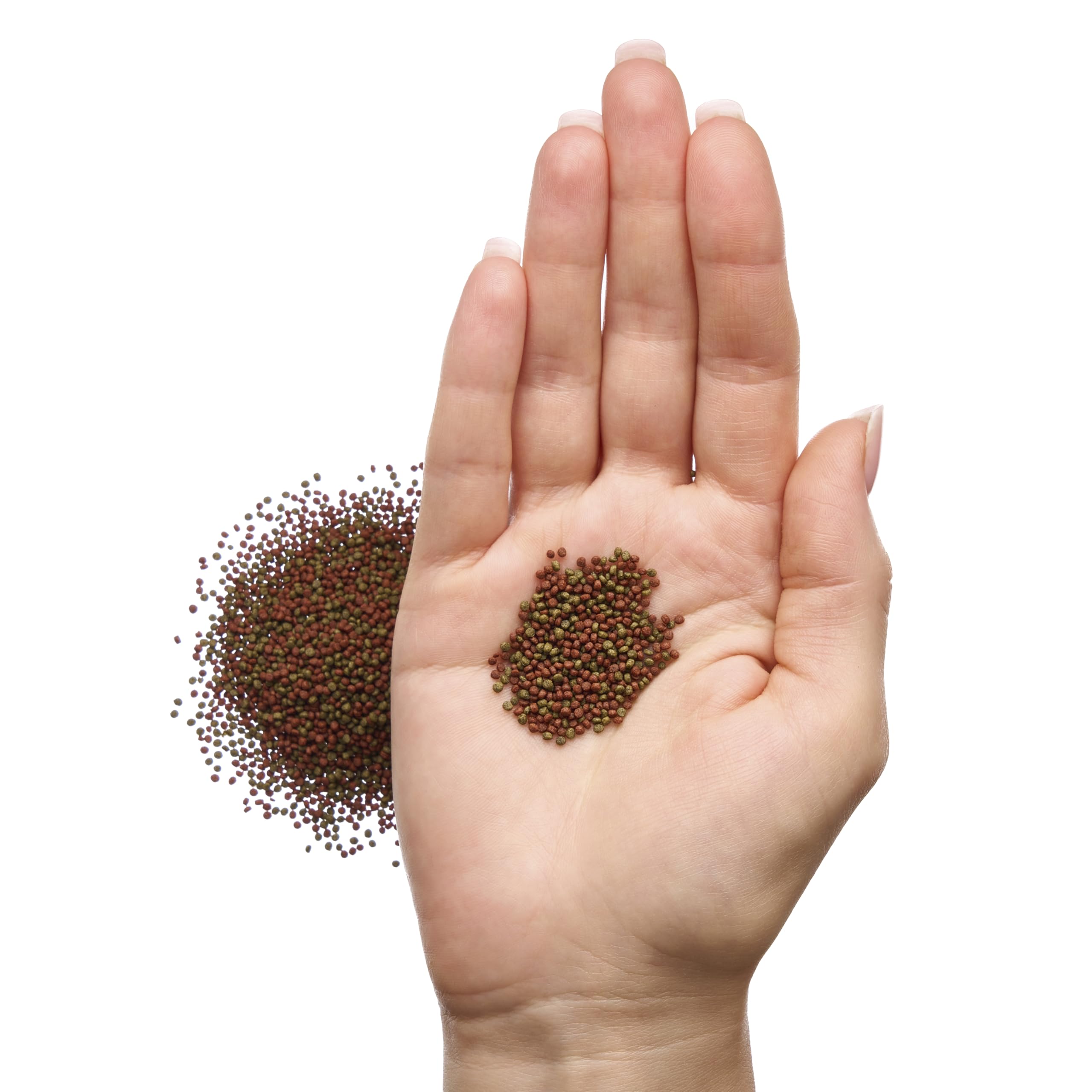 Betta Fish Pellets - Complete Nutrition Plus Color Boost (40 gr)