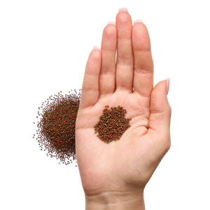 Betta Fish Pellets - Complete Nutrition Plus Color Boost (40 gr)