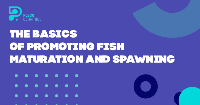The basics of promoting fish maturation and spawning