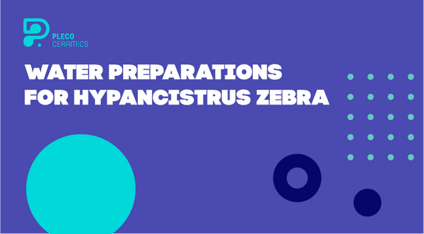 Water preparations for Hypancistrus zebra