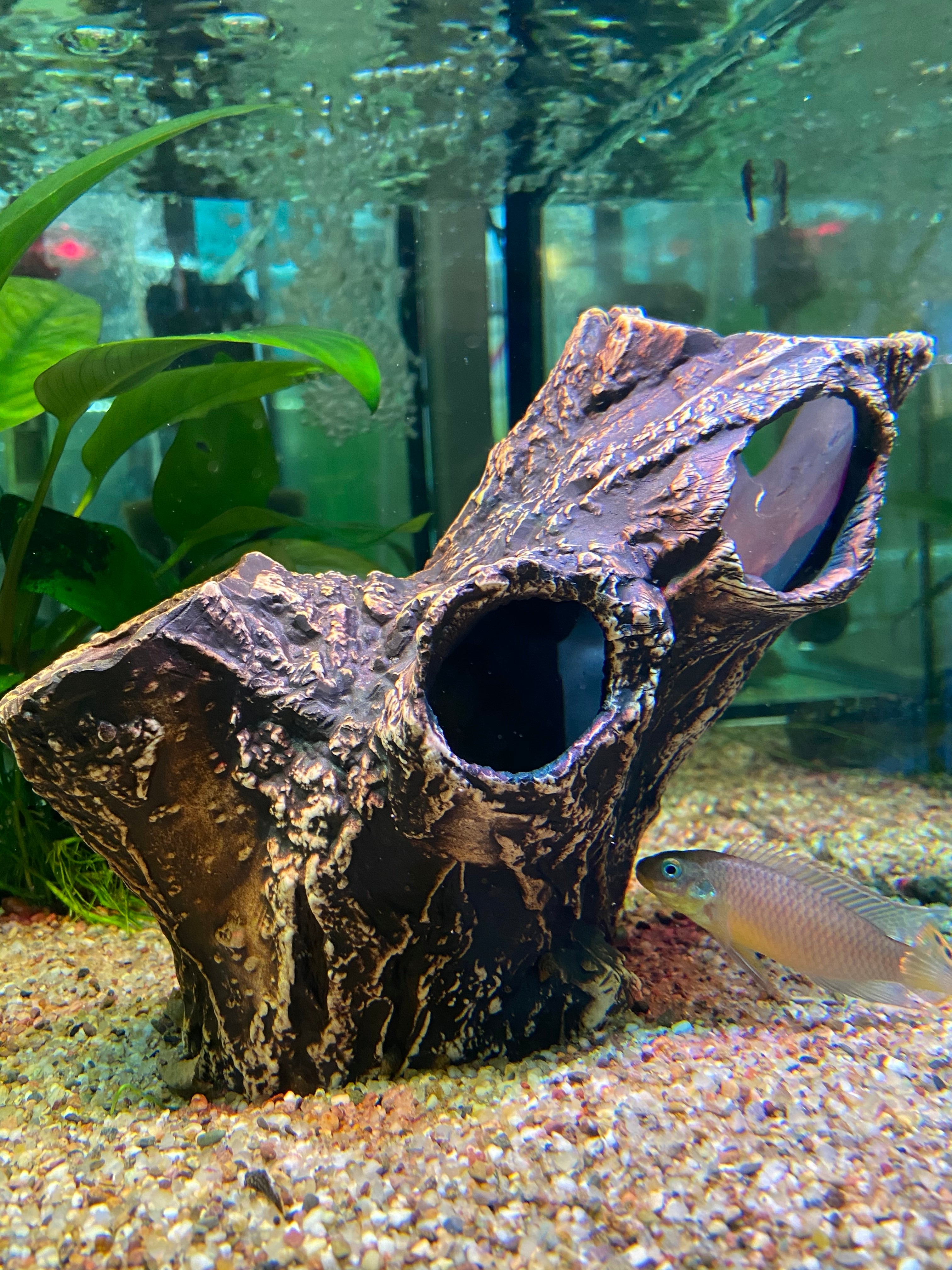 Medium Artificial Driftwood Aquarium Fish Tank Spiderwood Ornament