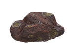 Load image into Gallery viewer, Meteorite Cichlid stone
