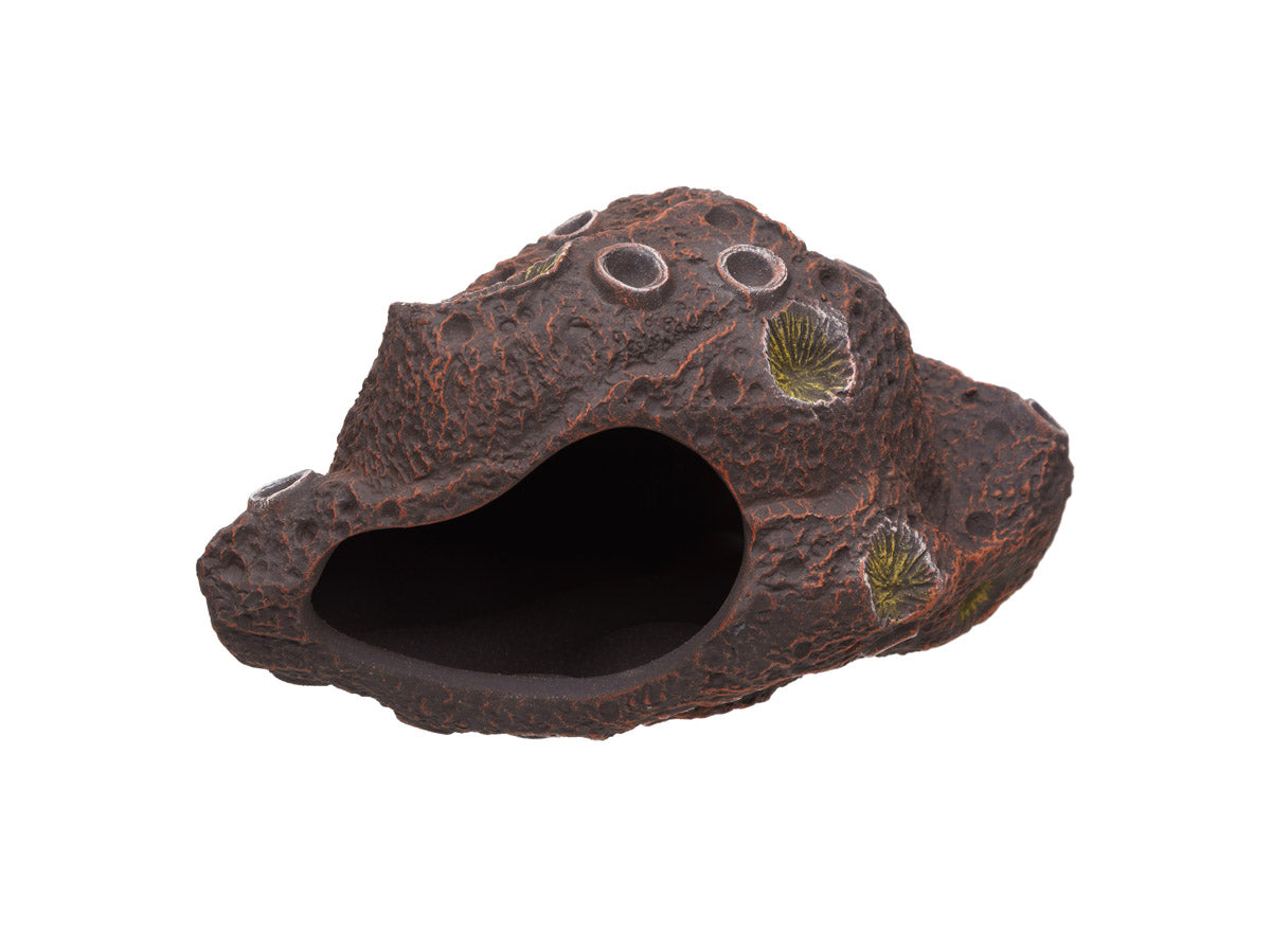 Meteorite Cichlid stone