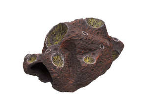 Meteorite Cichlid stone