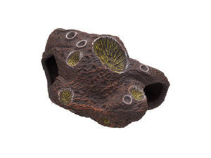 Meteorite Cichlid stone