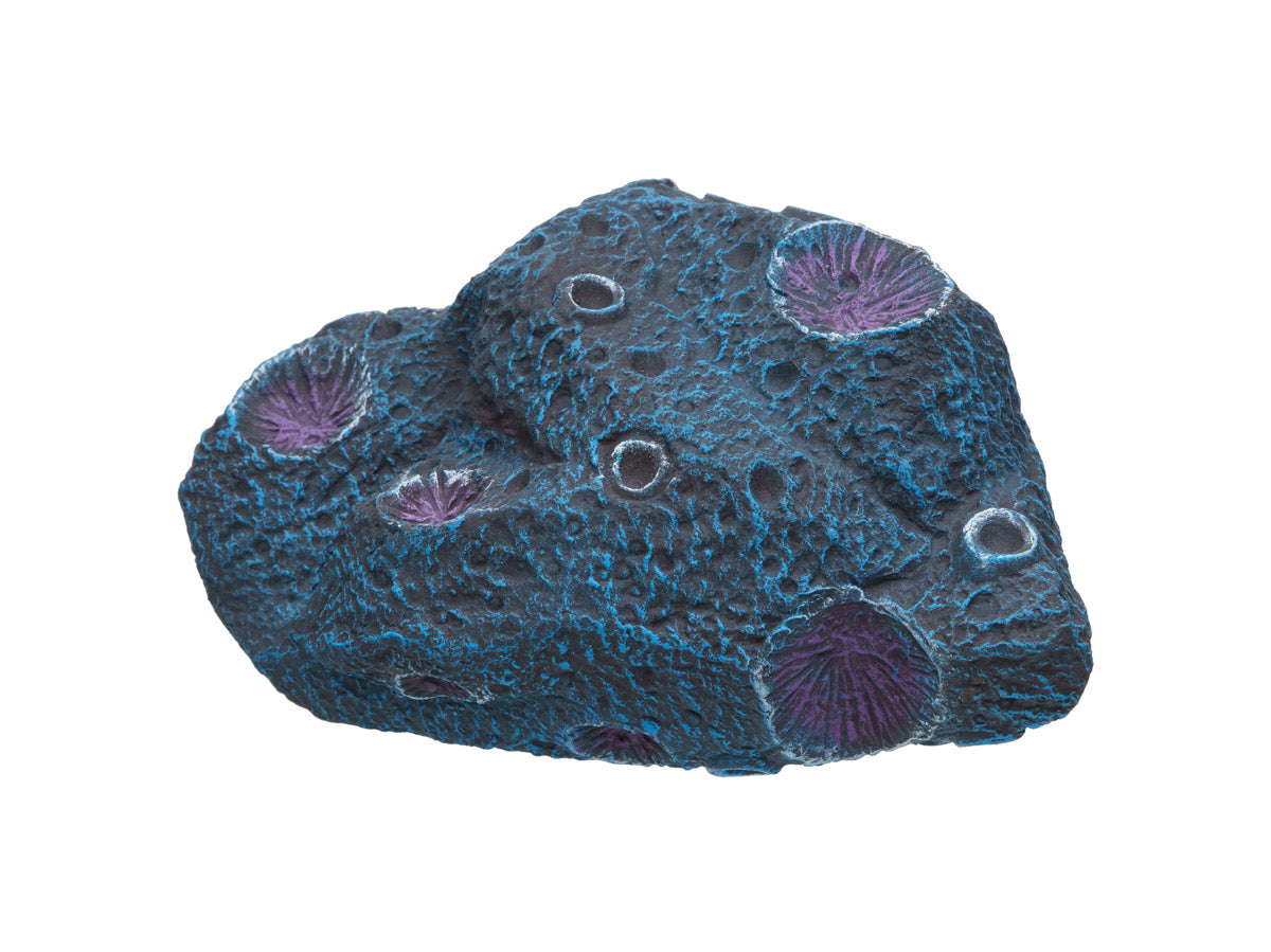 Meteorite Cichlid stone