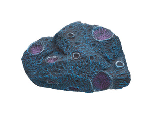 Meteorite Cichlid stone